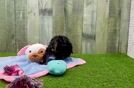 Yorkie Poo Pup Being Cute
