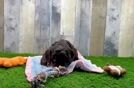 Sweet Cockapoo Baby