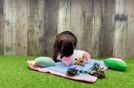 Poodle Puppy for Adoption