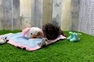 Small Cockapoo Baby