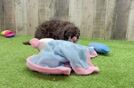 Meet Polaris - our Cavapoo Puppy Video
