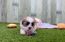 Best Teddy Bear Baby