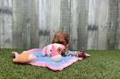 Little Malt Oodle Poodle Mix Puppy