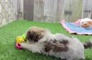 Best Teddy Bear Baby