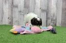 Cockapoo Puppy for Adoption