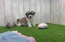 Best Teddy Bear Baby