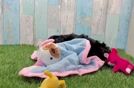 Meet Beckham - our Yorkie Poo Puppy Video