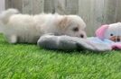 Cute Teddy Bear Baby