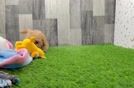 Meet Uma - our Maltipoo Puppy Video